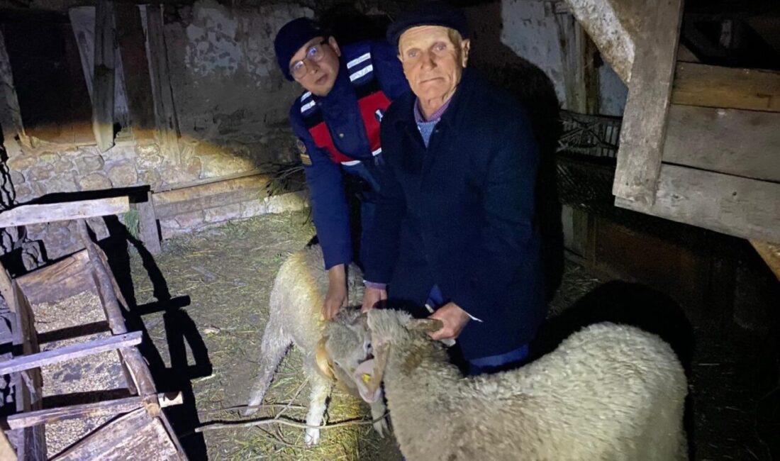 Bilecik’te hayvancılıkla uğraşan bir kişinin kayıp 3 adet küçükbaş hayvanını