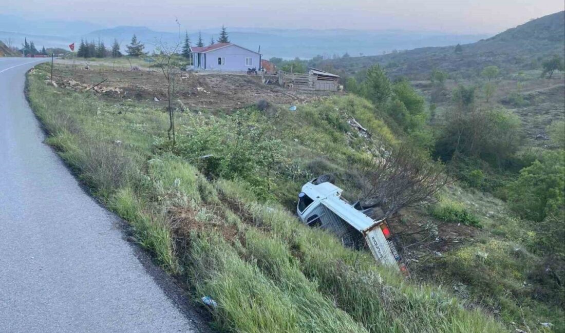 Bilecik’te seyir halinde kontrolden çıkan kamyonet şarampole yuvarlanırken sürücüsü yaralandı.