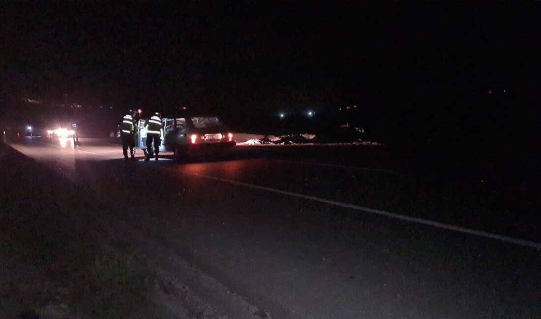 KÜTAHYA (AA) – Kütahya'nın Emet ilçesinde otomobilin çarptığı yaya hayatını
