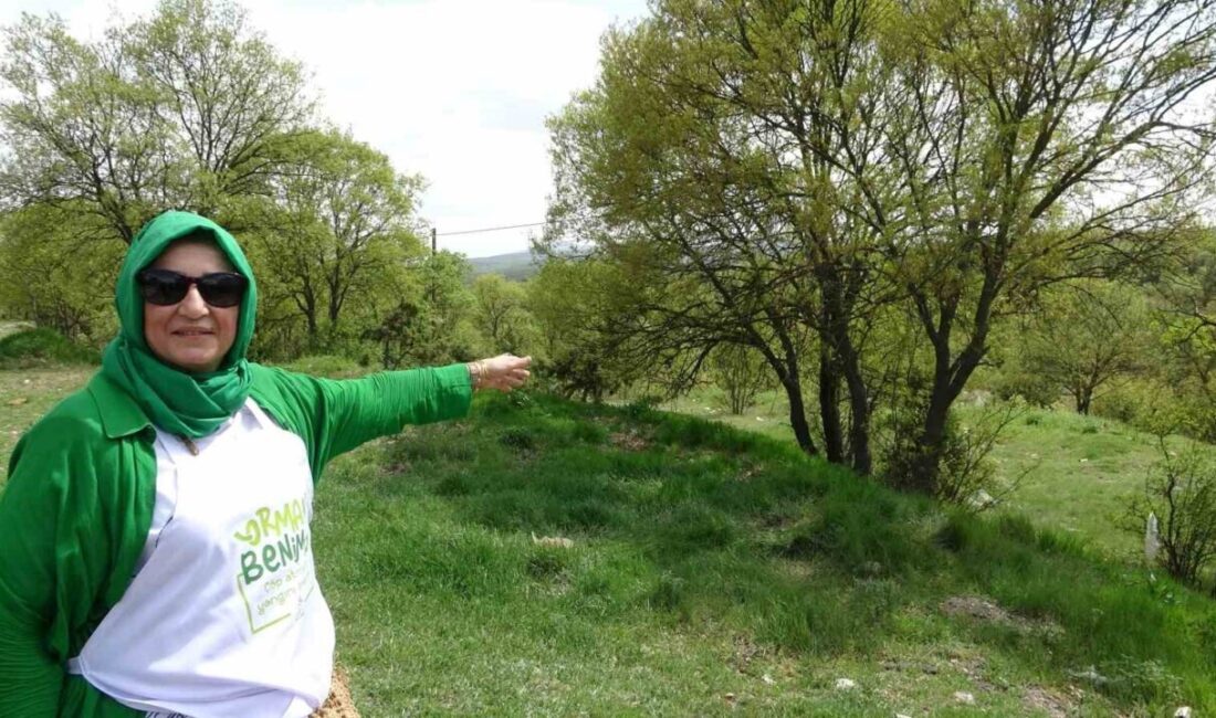 Kütahya’nın doğa harikası mahallelerinden biri olan Haccazizler Mahallesi, sahip olduğu