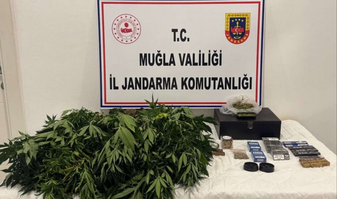 MUĞLA (AA) – Muğla'nın Datça ilçesinde düzenlenen operasyonda, evde uyuşturucu