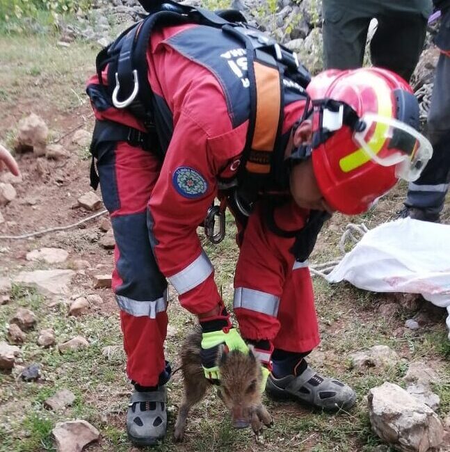 MUĞLA (AA) – Muğla'da sulama kanalına düşen köpek ve kuyuya