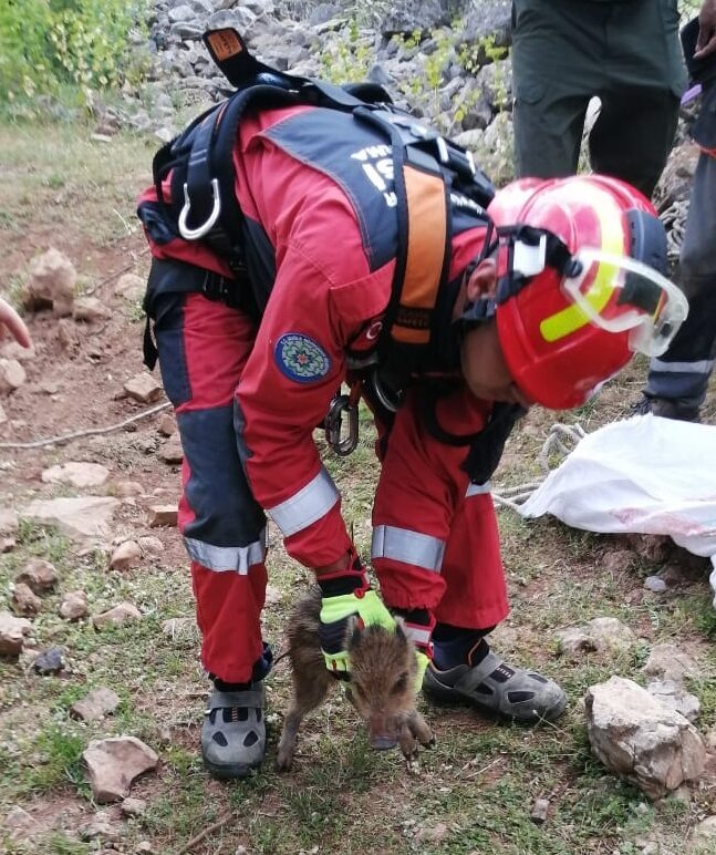 MUĞLA (AA) – Muğla'da sulama kanalına düşen köpek ve kuyuya