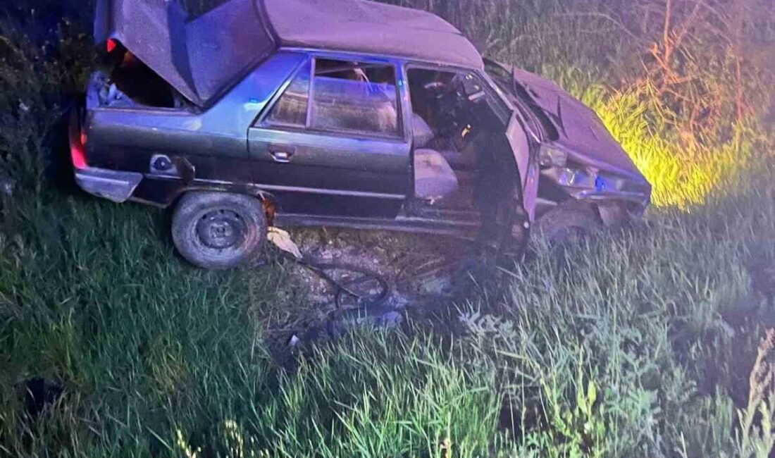Afyonkarahisar’da kontrolden çıkarak şarampol’e düşen otomobilde 34 yaşındaki polis memuru