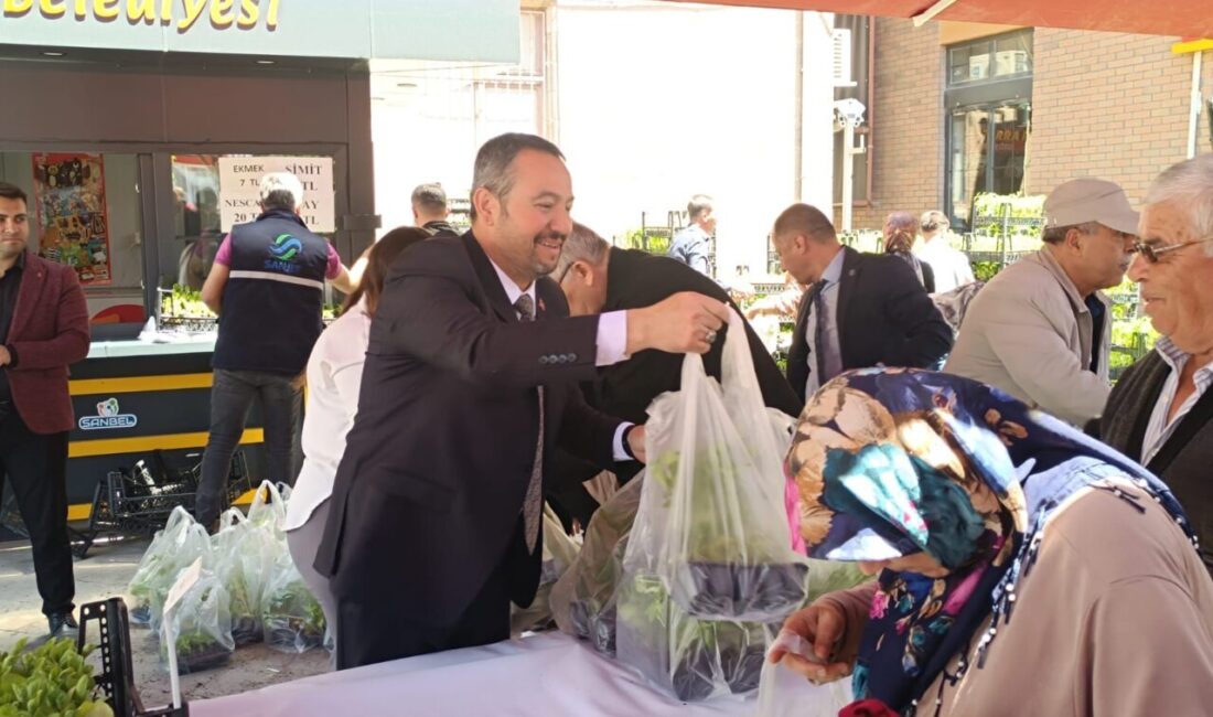 AFYONKARAHİSAR (AA) – Sandıklı'da belediye tarafından jeotermal serada üretilen 100