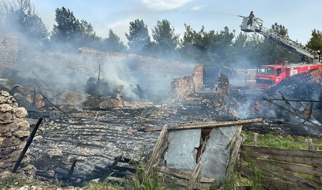UŞAK (AA) – Uşak'ın Ulubey ilçesinde ahırda çıkan yangında 54