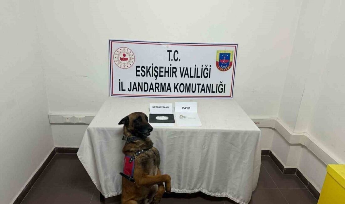 Eskişehir kent merkezinden, Beylikova ilçesine uyuşturucu madde taşıdığı tespit edilen