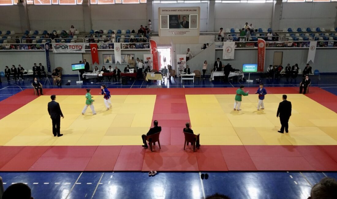 MUĞLA (AA) – Türkiye Gelişmekte Olan Spor Branşları Federasyonu tarafından