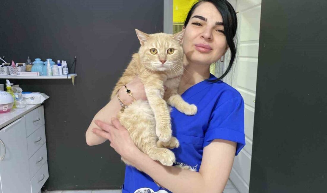 Eskişehir’de veterinerlik yapan Uzm. Veteriner Hekim Tuğçe Kara, bayram tatilinde