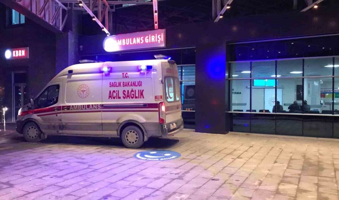 Bilecik’te 4 günlük Kurban Bayramı boyunca 186 kişi kesi ve