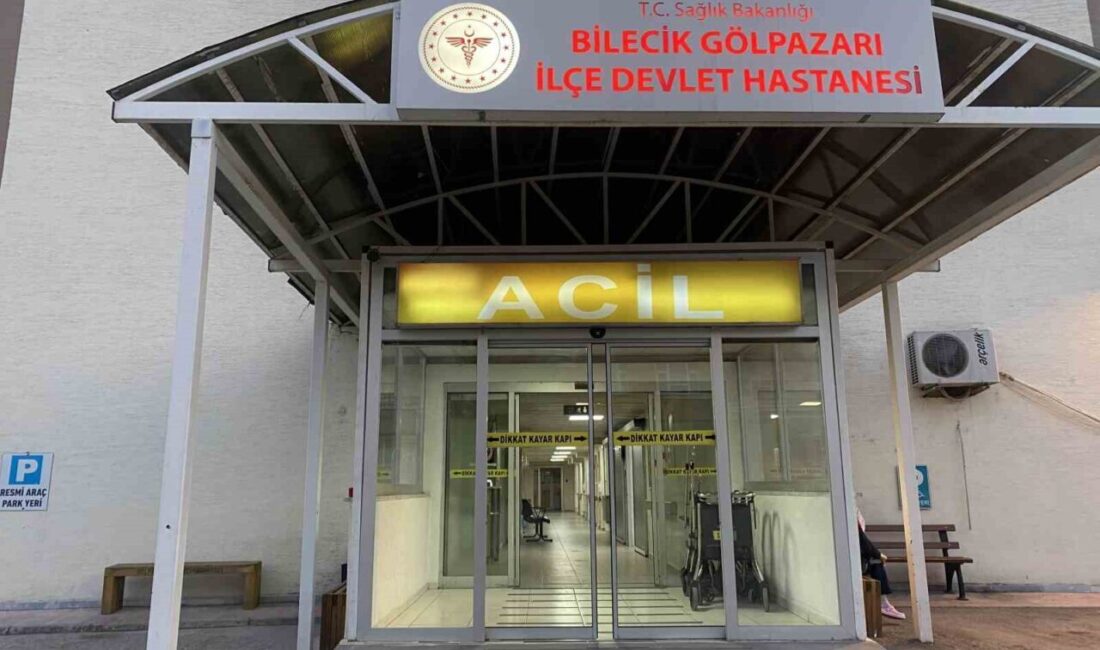 Bilecik’te genç kız tüfekle vurulmuş olarak bulunurken, olayla ilgili 1
