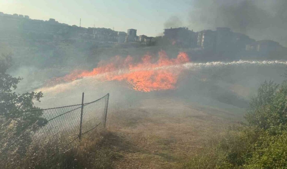 Bilecik’te bir otluk alanda çıkan yangın itfaiye ekiplerince büyümeden söndürüldü.