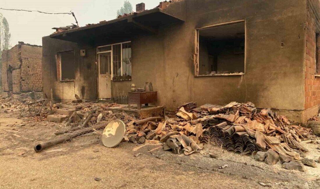 Sakarya’nın Taraklı ilçesinde dün çıkan orman yangını Bilecik’e sıçrarken, 17