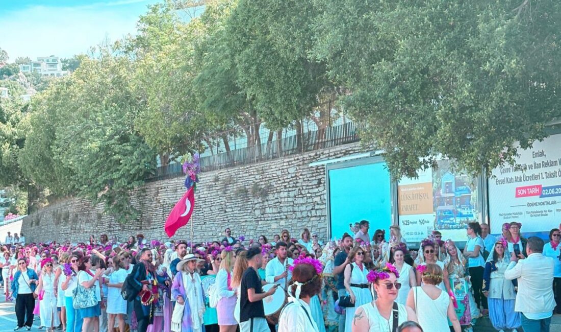 MUĞLA (AA) – Muğla'nın Bodrum ilçesinde "Begonvil Festivali" yapıldı. Bodrum