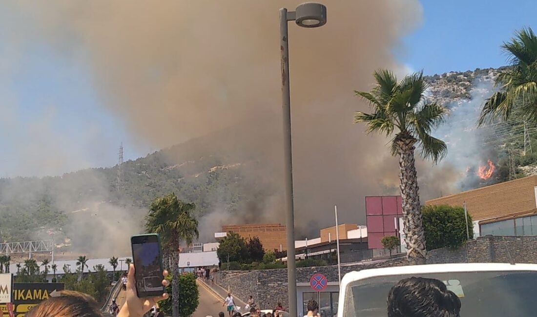 MUĞLA (AA) – Muğla'nın Bodrum ilçesinde çıkan orman yangını, havadan