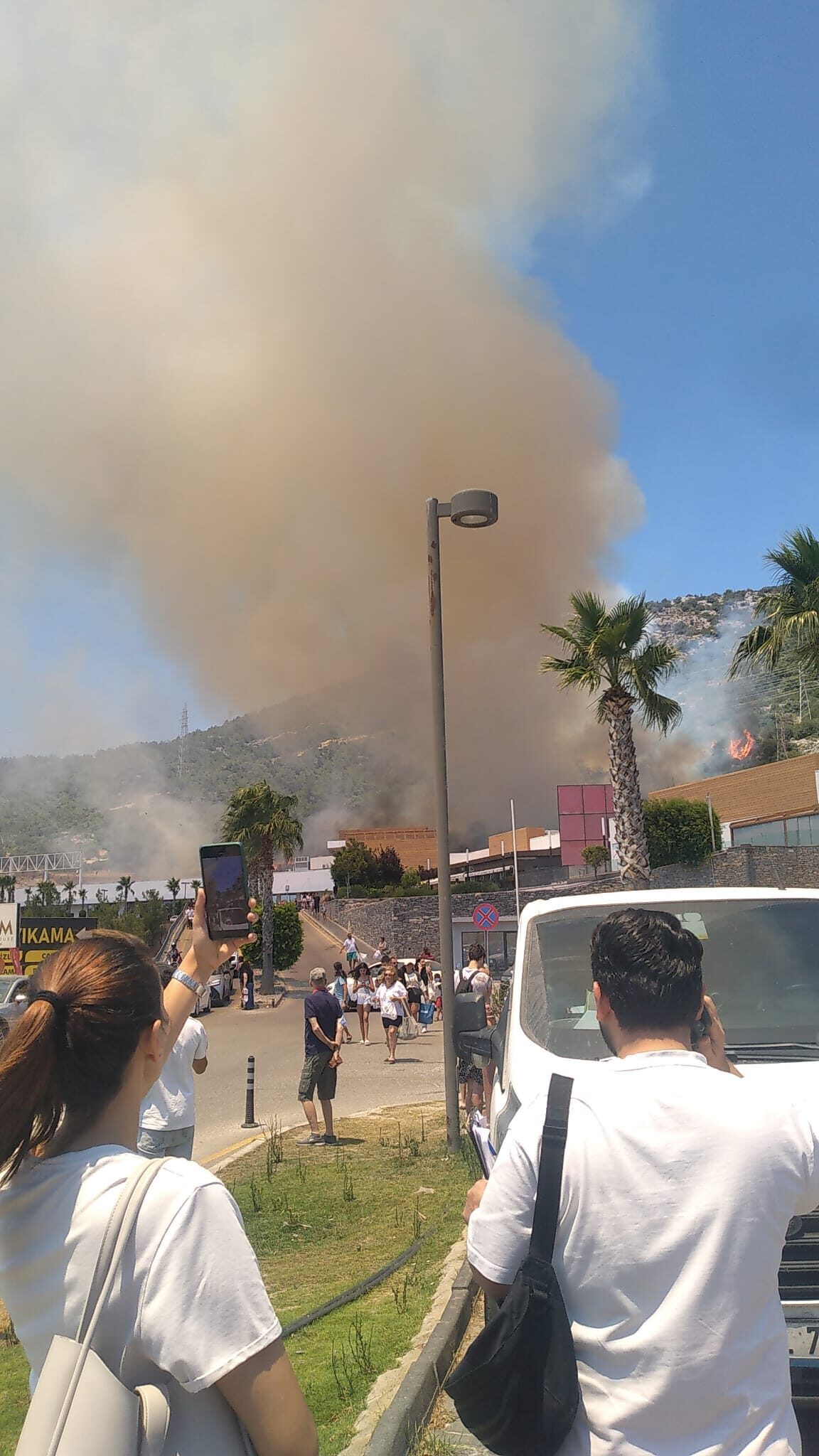 MUĞLA (AA) – Muğla'nın Bodrum ilçesinde çıkan orman yangını, havadan
