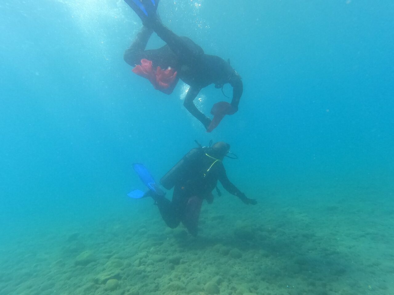 MUĞLA (AA) – Muğla'nın Bodrum ilçesinde düzenlenen etkinlikte dalgıçlar, deniz