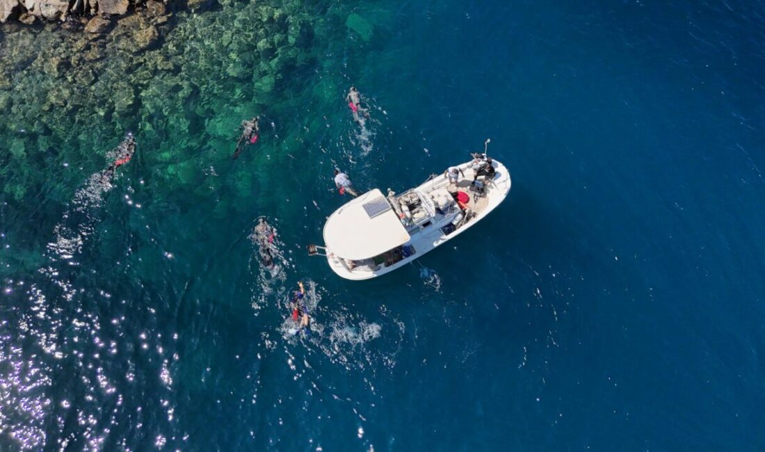 MUĞLA (AA) – Muğla'nın Bodrum ilçesinde gönüllü dalgıçlarla yapılan deniz