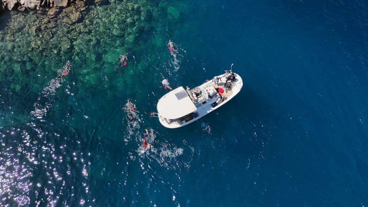 MUĞLA (AA) – Muğla'nın Bodrum ilçesinde gönüllü dalgıçlarla yapılan deniz