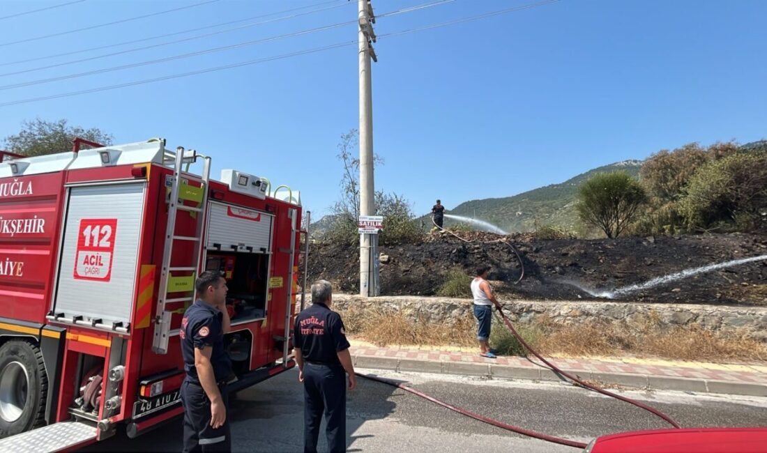 MUĞLA (AA) – Muğla’nın Bodrum ilçesinde otluk alanda çıkan yangın
