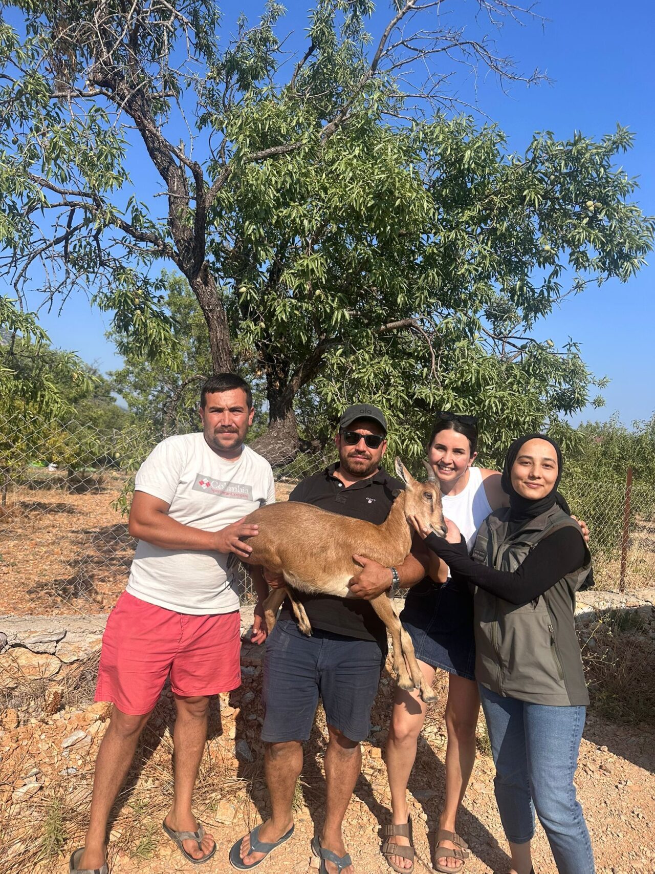 MUĞLA (AA) – Muğla'nın Datça ilçesinde bahçede bitkin vaziyette bulunan