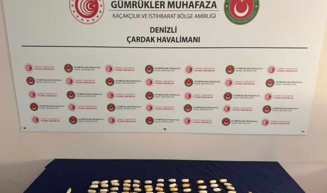 DENİZLİ (AA) – Denizli Çardak Havalimanı'nda, yabancı uyruklu bir yolcunun