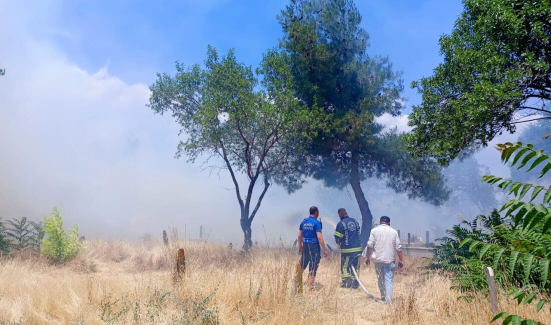 DENİZLİ (AA) – Denizli'nin Çivril ilçesindeki mezarlıktaki otluk alanda çıkan