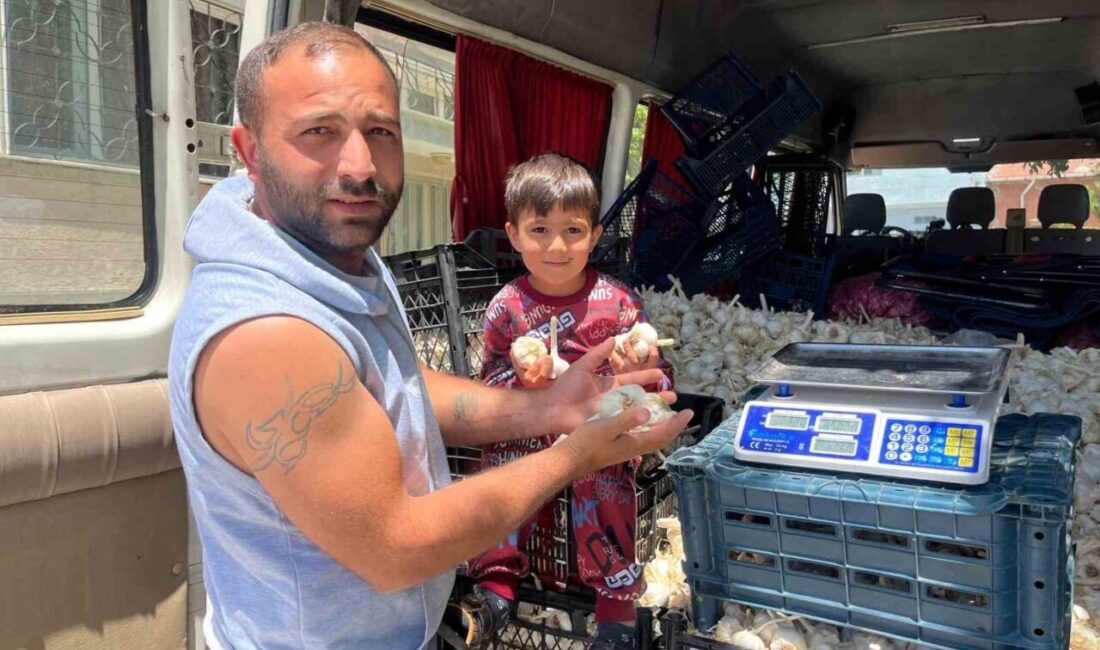 Sarımsak satmak için Kahramanmaraş’tan yola çıkan ve ülkenin birçok il