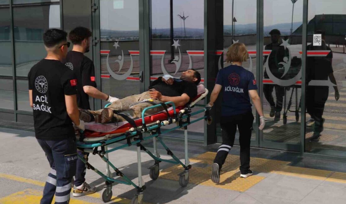 Eskişehir’de Kurban Bayramı’nın ilk gününde acil polikliniği acemi kasaplarla doldu.