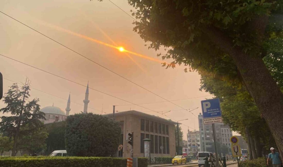 Sakarya’da çıkan ve Bilecik’e sıçrayan yangının dumanı Eskişehir’e kadar ulaşırken,