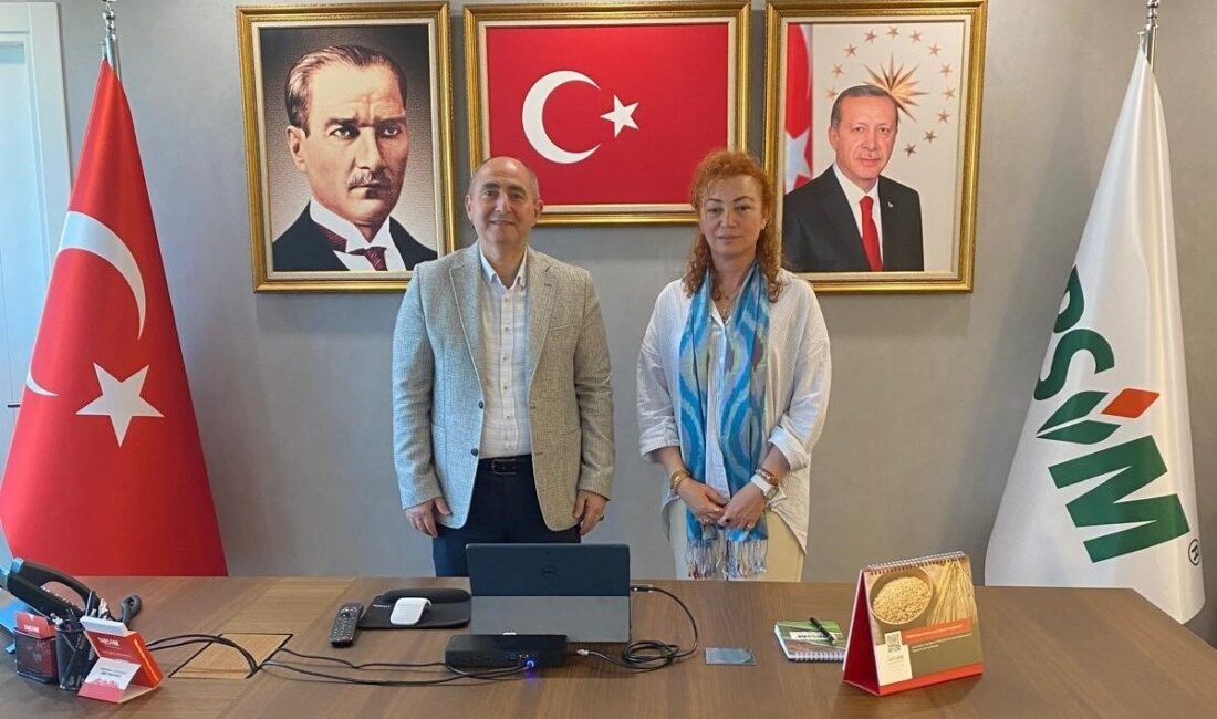 İSTANBUL (AA) – Birleşmiş Milletler Gıda ve Tarım Örgütü'nün (FAO)