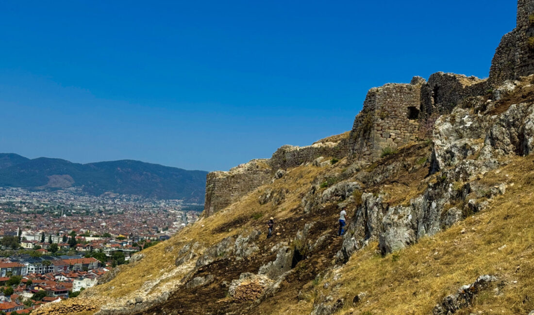 MUĞLA (AA) – Muğla'da, Fethiye Kalesi'nin arkeolojik kazı alanındaki otluk