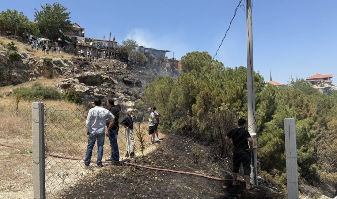 İZMİR (AA) – İzmir'in Kemalpaşa ilçesinde ağaçlık alanda çıkan yangında