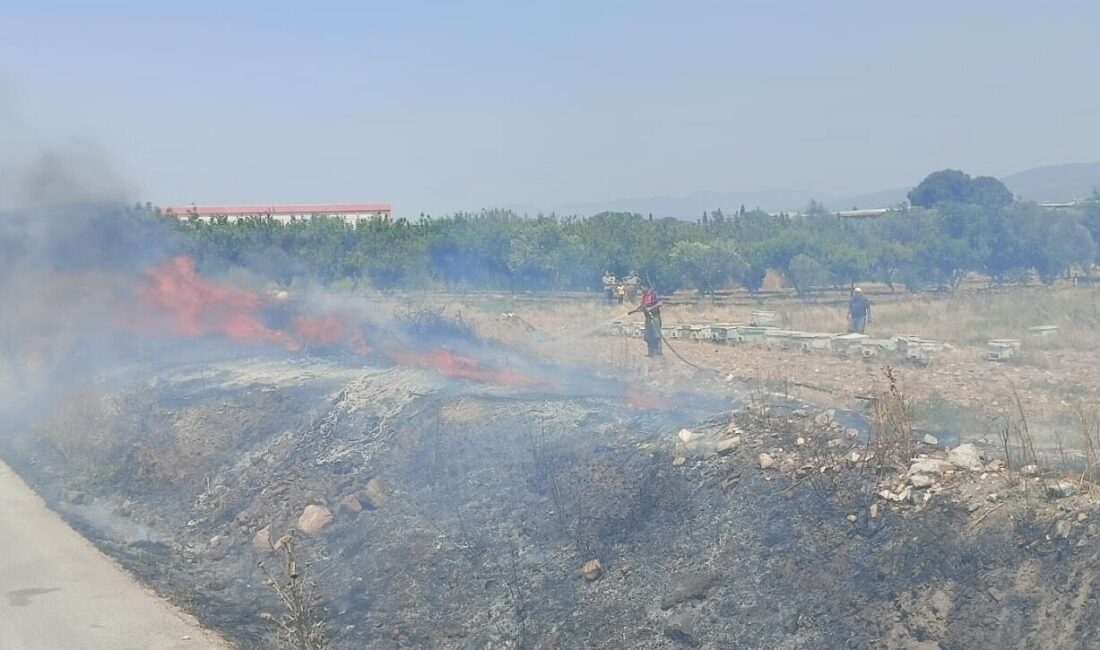 İZMİR (AA) – İzmir'in Kemalpaşa ilçesindeki boş arazide çıkan yangın
