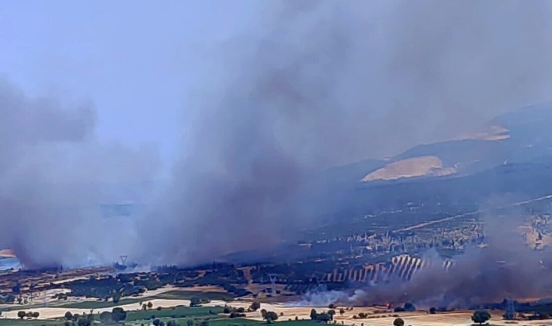 İZMİR (AA) – İzmir'in Kınık ilçesinde çıkan orman yangınına havadan