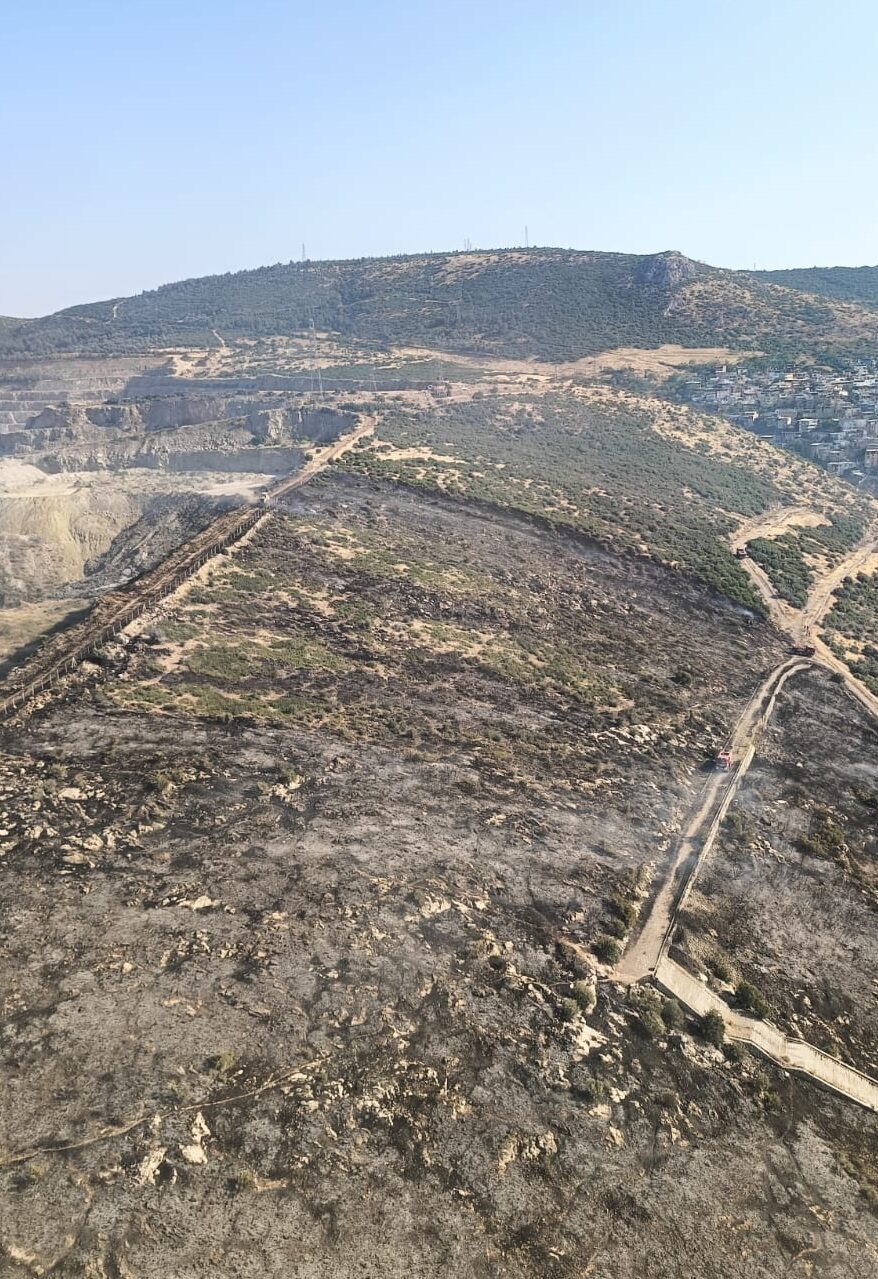 İZMİR (AA) – İzmir'in Bornova ilçesinde makilik alanda çıkan yangın,