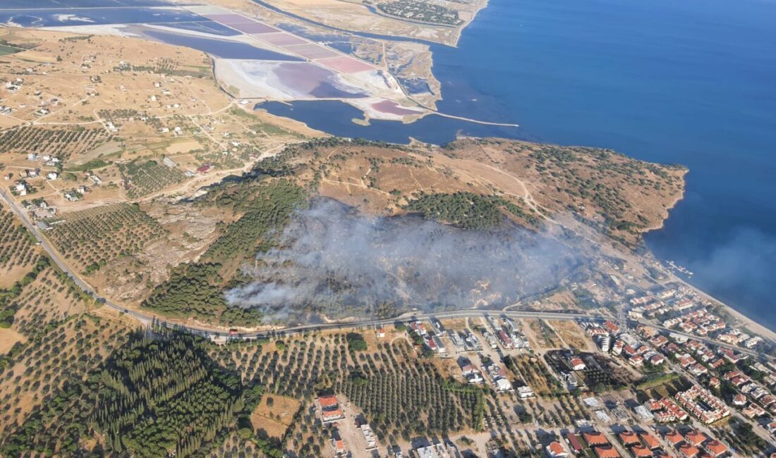 İZMİR (AA) – İzmir'in Dikili ilçesinde makilik ve çamlık alanda