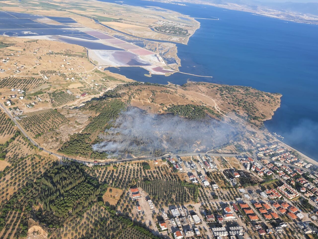 İZMİR (AA) – İzmir'in Dikili ilçesinde makilik ve çamlık alanda