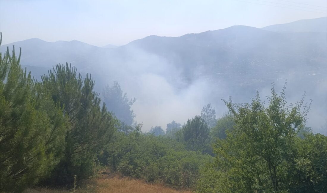 İZMİR (AA) – İzmir'in Ödemiş ilçesinde otluk alanda çıkan yangın