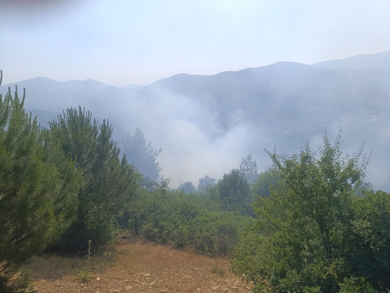 İZMİR (AA) – İzmir'in Ödemiş ilçesinde otluk alanda çıkan yangın