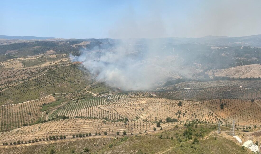 İZMİR (AA) – İzmir'in Seferihisar ilçesinde otluk alanda çıkan yangına