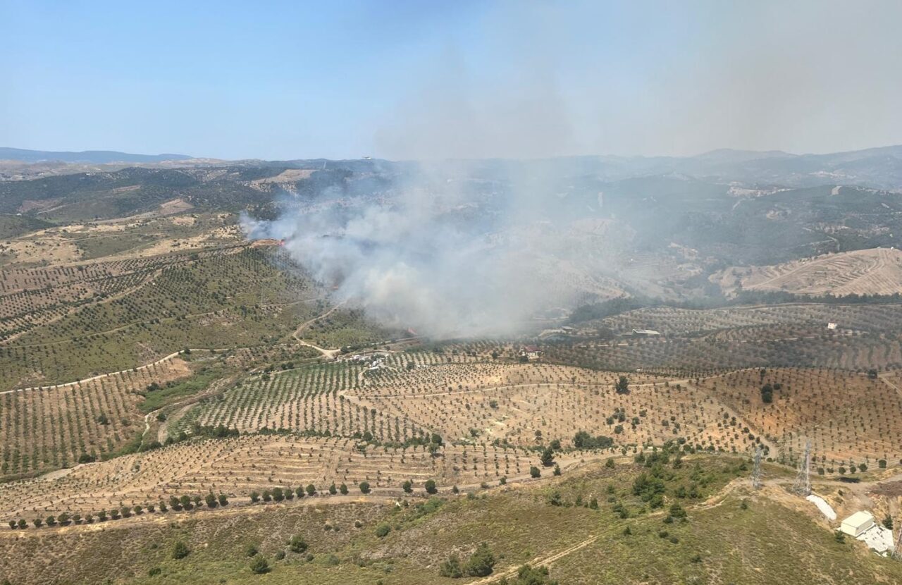 İZMİR (AA) – İzmir'in Seferihisar ilçesinde otluk alanda çıkan yangına