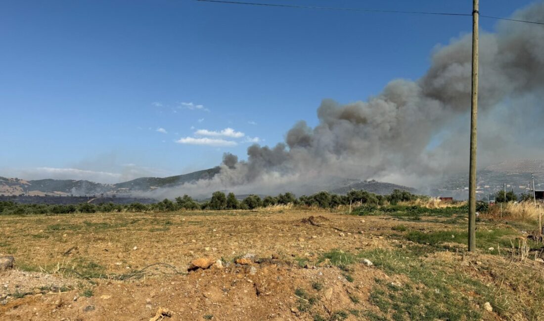 İZMİR (AA) – İzmir'in Tire ilçesinde otluk alanda başlayıp, yerleşim