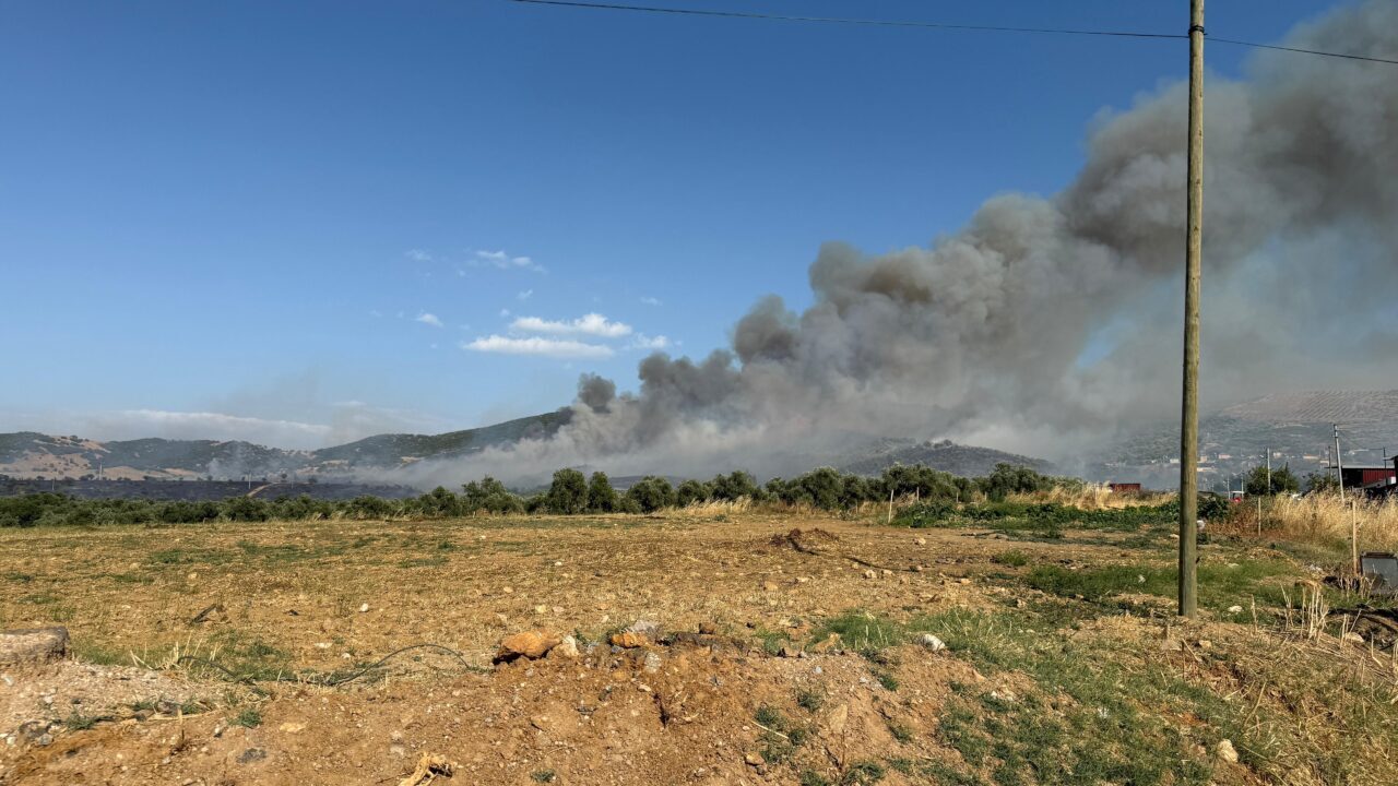 İZMİR (AA) – İzmir'in Tire ilçesinde otluk alanda başlayıp, yerleşim