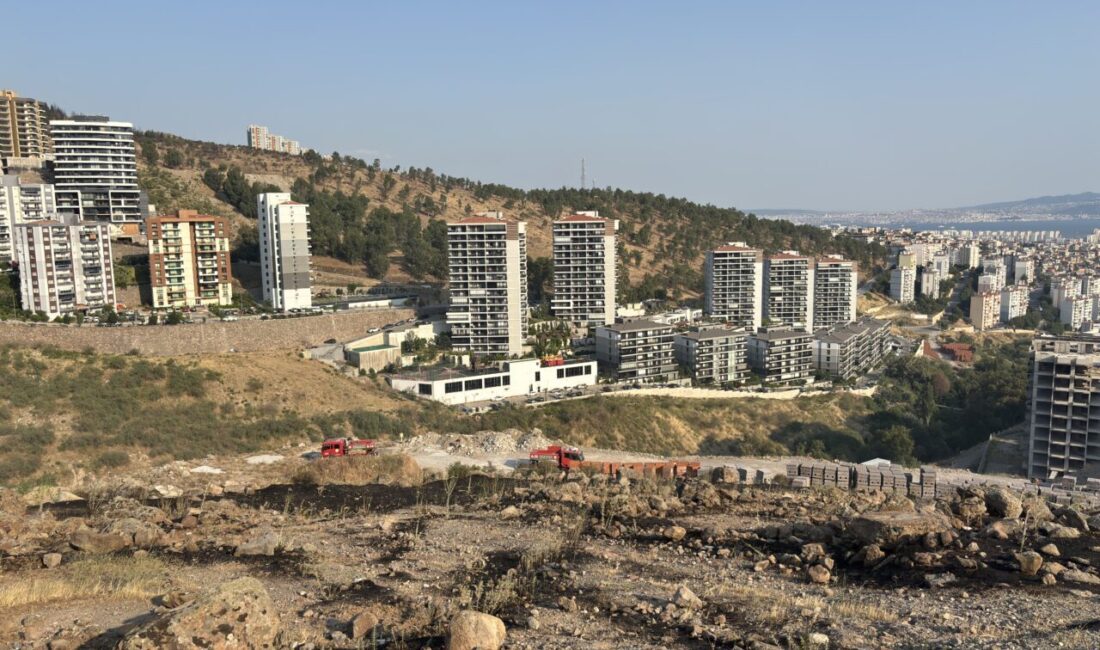 - Yangında arı kovanları kurtarılan arıcı Kamil Borazan:
- "Yangın uçakları