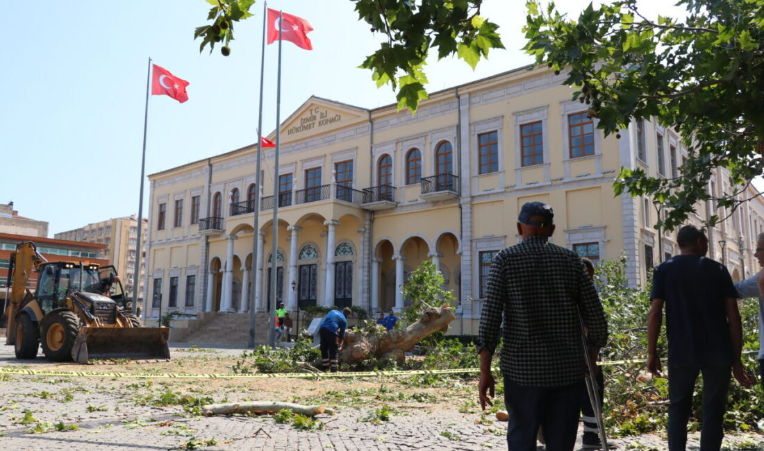 - Ağacın devriliş anı güvenlik kamerasınca kaydedildi
- Çarşıdaki iş yerinde