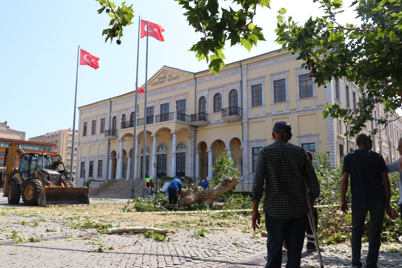 - Ağacın devriliş anı güvenlik kamerasınca kaydedildi
- Çarşıdaki iş yerinde