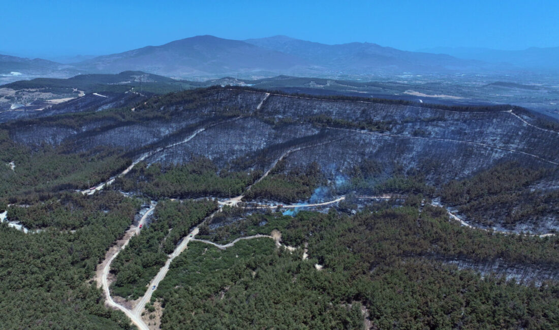 İZMİR (AA) – İzmir'in Aliağa ilçesinde başlayıp Foça'ya sıçrayan orman