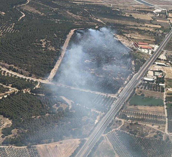 İZMİR (AA) – İzmir'in Aliağa ilçesinde çıkan orman yangınına havadan