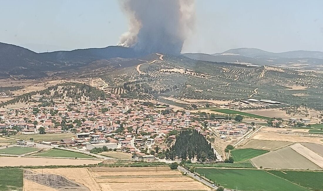 İZMİR (AA) – İzmir'in Foça ilçesinde çıkan orman yangınına havadan